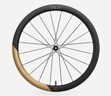 Oquo Hinterrad Rennrad RP45LTD CS Sram XDR Metallic Golden Sand Matt
