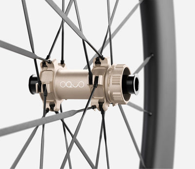 O1990040