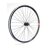 Hinterrad Gurpil Rennrad New DPX Shimano 8/10v Schwarz
