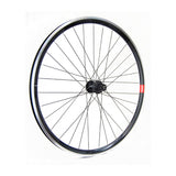 Hinterrad Gurpil Rennrad New DPX Campagnolo Schwarz