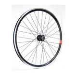 Vorderrad Gurpil Rennrad New DPX Scheibenbremse Schnellspanner Aluminium Schwarz