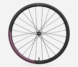 Oquo Hinterrad Gravel RP35LTD Sram XDR Metallic Mulberry