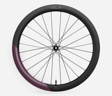 Oquo Hinterrad Gravel RP50LTD Shimano HG Metallic Mulberry